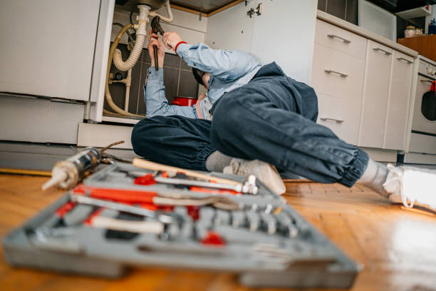 Best Commercial Plumbing Services  in Travelers Rest, SC