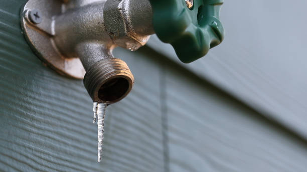Best Drain Cleaning Services  in Travelers Rest, SC